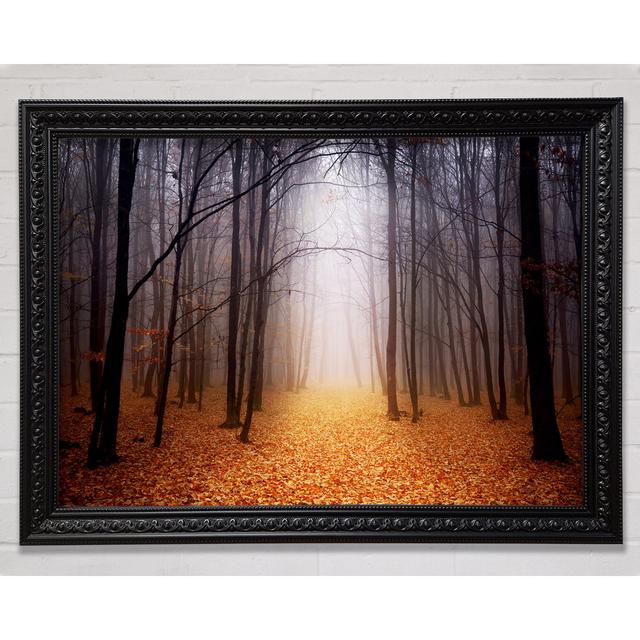 Herbstnebel - Druck Bright Star Größe: 100cm H x 141,4cm B x 3cm T on Productcaster.