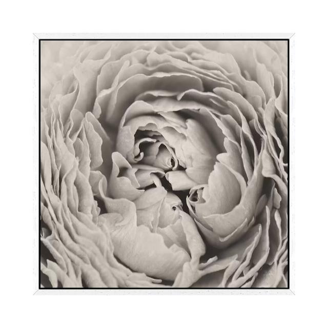 BW Peony - Print on Canvas Fleur De Lis Living Size: 45.72cm H x 45.72cm W x 3.81cm D, Format: White Framed on Productcaster.