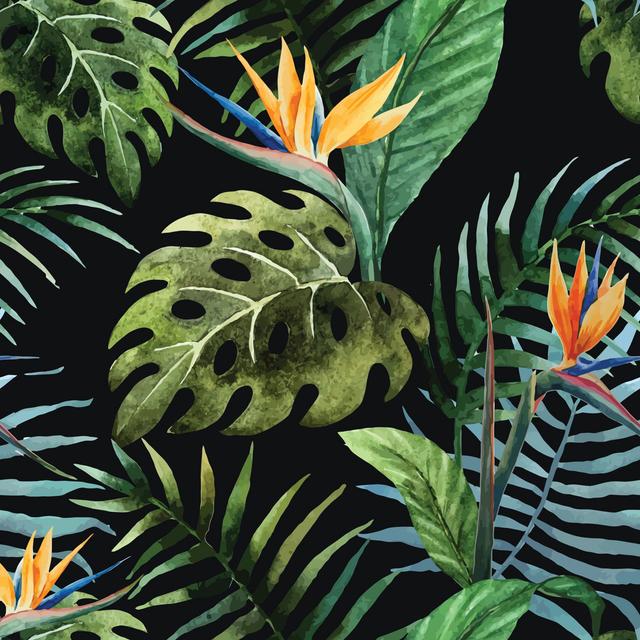 Tropic Pattern by Zenina - Wrapped Canvas Print 17 Stories Size: 51cm H x 51cm W on Productcaster.