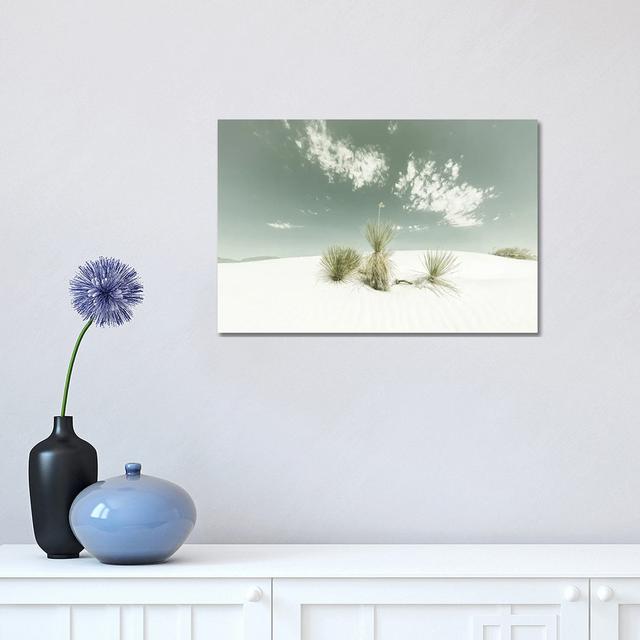 White Sands Vintage by Melanie Viola - Wrapped Canvas Print Latitude Run Size: 30.48cm H x 45.72cm W x 1.91cm D on Productcaster.