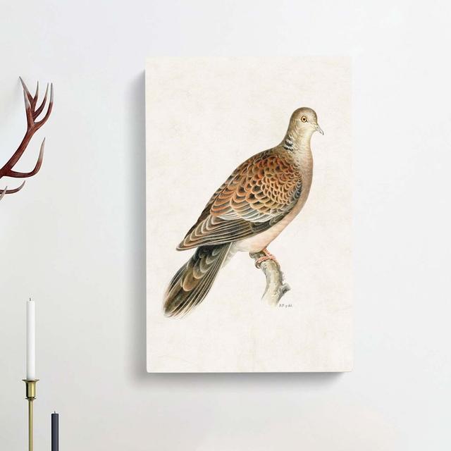 Oriental Turtle Dove by Von Wright - Wrapped Canvas Graphic Art Print East Urban Home Size: 76cm H x 50cm W x 3cm D on Productcaster.