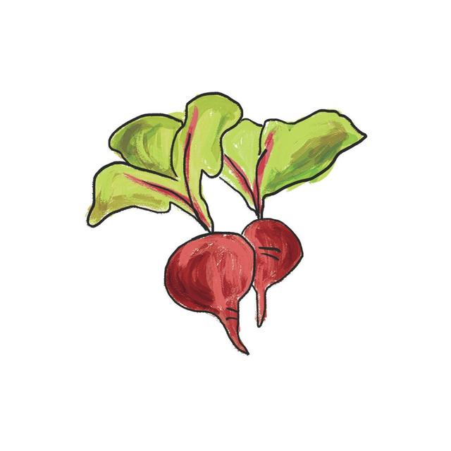 Simple Beet - Wrapped Canvas Painting Print August Grove Size: 51cm H x 51cm W x 3.8cm D on Productcaster.