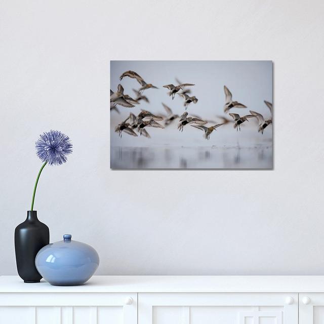 Shorebirds by Mateusz Piesiak - Wrapped Canvas Gallery-Wrapped Canvas Giclée House of Hampton Size: 30.48cm H x 45.72cm W x 1.905cm D on Productcaster.