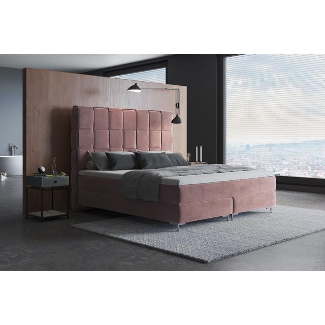 Echtes Boxspringbett Sade mit Premium Visco Topper, mit Samtstoff bezogen Canora Grey Größe: 180 x 200 cm, Farbe: Rosa, Matratzenhärte: H2 - bis etwa on Productcaster.