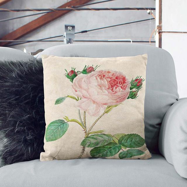 Cabbage Rose by Pierre-Joseph Redoute Cushion with Filling East Urban Home Size: 55cm H x 55cm W x 20cm D, Backing Colour: Black on Productcaster.