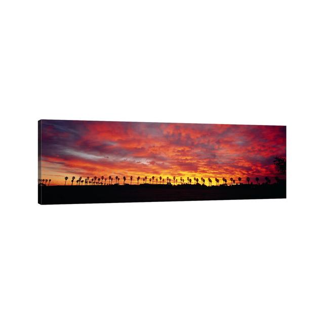 Silhouette of Palm Trees at Sunrise, San Diego, San Diego County, California, Usa by Panoramic Images - Wrapped Canvas Panoramic Wrapped Canvas Ebern on Productcaster.