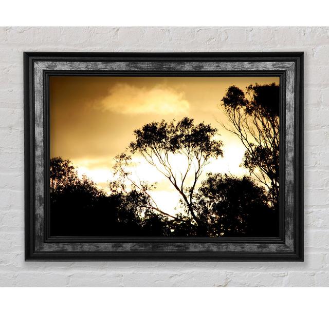 Golden Light Treetops - Single Picture Frame Art Prints Bright Star Size: 100cm H x 141.4cm W x 8cm D on Productcaster.