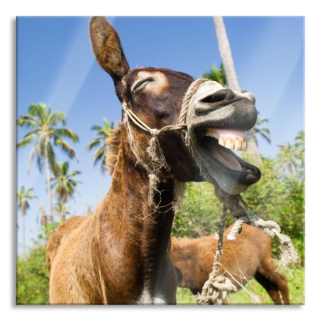 Funny Laughing Donkey Under Palm Trees - Unframed Photograph on Glass August Grove Size: 70cm H x 70cm W x 0.4cm D on Productcaster.