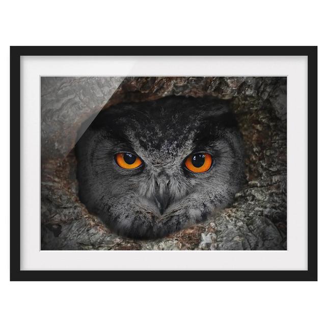 Watching Owl - Picture Frame Photographic Art Print on Paper East Urban Home Rahmenoptionen: Matt black, Size: 70cm H x 100cm W on Productcaster.