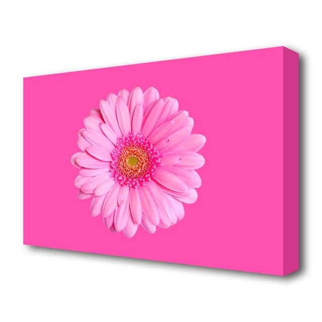 Baby Pink On Pink Gerbera Flowers Canvas Print Wall Art East Urban Home Size: 50.8 cm H x 81.3 cm W on Productcaster.