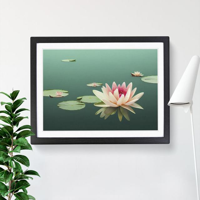 Luscious Water Lily Flower - Single Picture Frame Print 17 Stories Size: 34cm H x 46cm W x 2cm D, Frame Colour: Black on Productcaster.