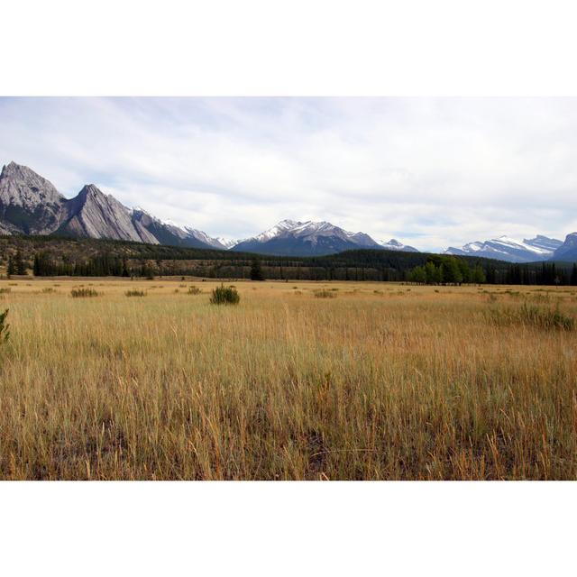 Mountain Meadow by Wolv - Print Alpen Home Size: 30cm H x 46cm W on Productcaster.