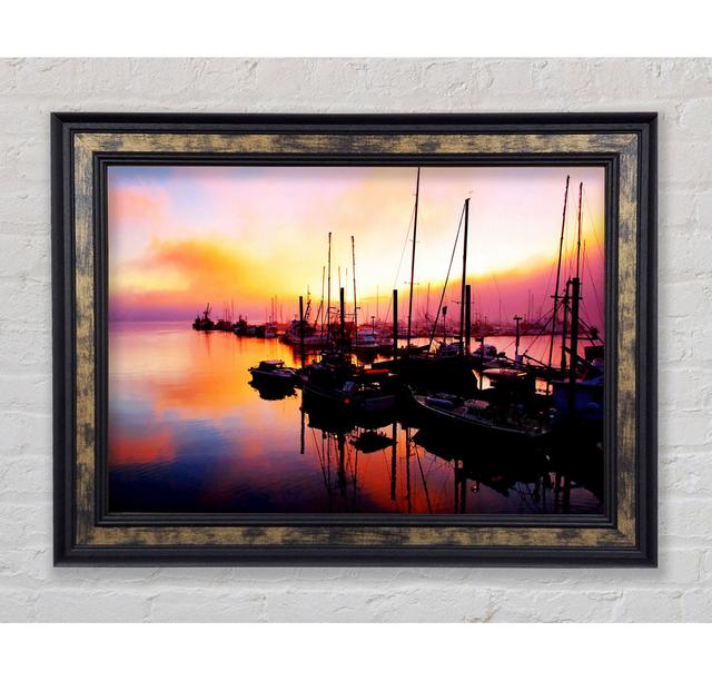 Single Picture Frame Art Prints Bright Star Size: 84.1cm H x 142.2cm W on Productcaster.