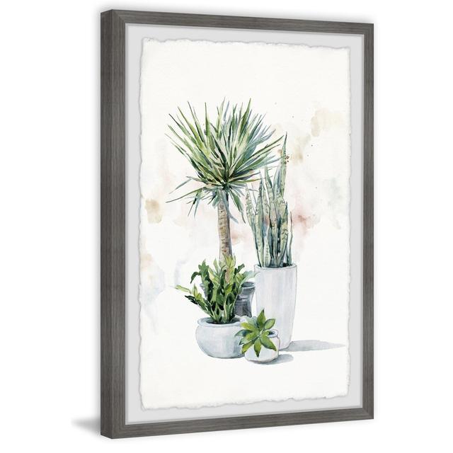 'Green Plants Shrub II' Framed Painting East Urban Home Size: 30cm H x 20cm W on Productcaster.