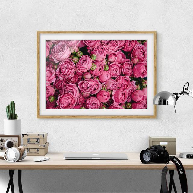 Gerahmter Grafikdruck Pink Peonies Rosdorf Park Größe: 40 cm H x 55 cm B x 2 cm T, Format: Braun gerahmt, Matte Farbe: Keine Matte on Productcaster.