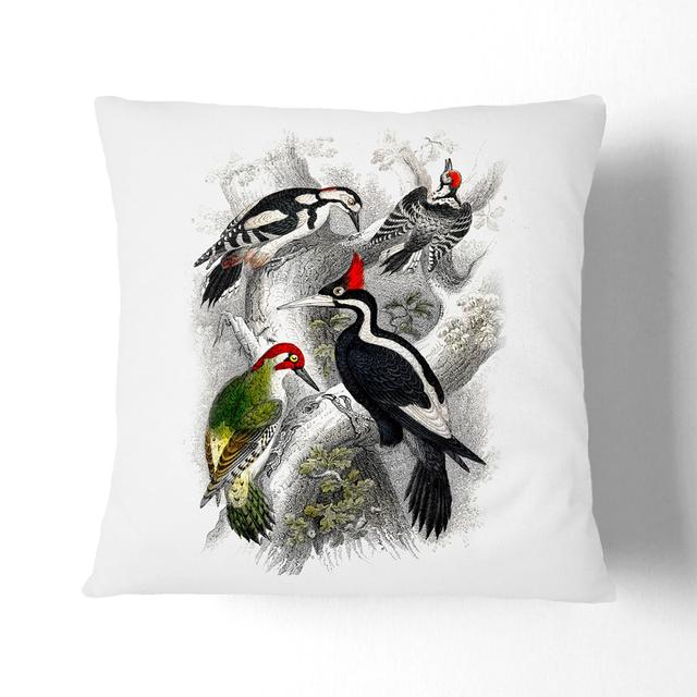 Collection of Woodpeckers PL.57 by Oliver Goldsmith Cushion with Filling East Urban Home Size: 40 x 40 cm, Backing Colour: White on Productcaster.