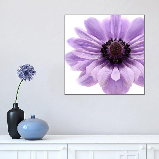 Pale Lilac Anemone by Alyson Fennell - Wrapped Canvas Print Latitude Run Size: 45.72cm H x 45.72cm W x 1.91cm D on Productcaster.