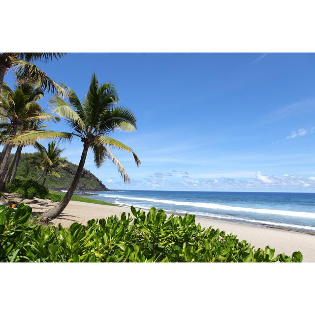 Palm Trees on the beach House of Hampton Size: 20cm H x 30cm W on Productcaster.