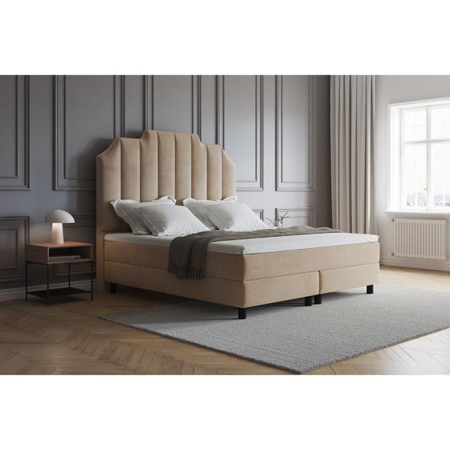 Echtes Boxspringbett Adelline mit Premium Visco Topper, mit Samtstoff bezogen Canora Grey Farbe: Dunkles Beige, Matratzenhärte: H3 - ca. 75-100 kg, Gr on Productcaster.