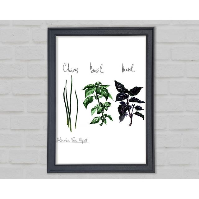 Herb Selection 4 - Einzelne Bilderrahmen Kunstdrucke Sommerallee Größe: 59,7 cm H x 42 cm B x 1,5 cm T on Productcaster.