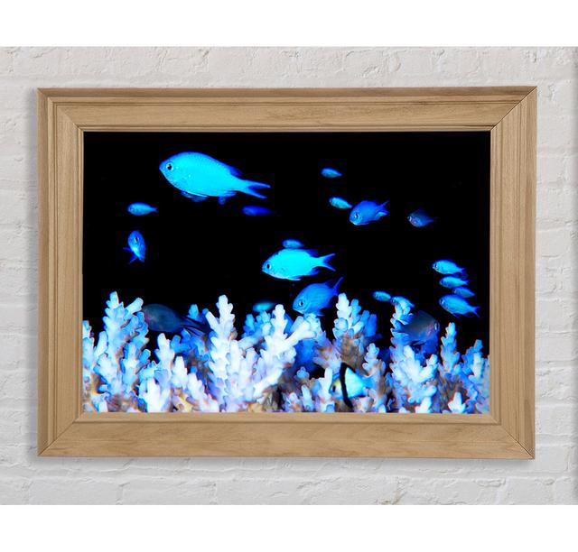 Single Picture Frame Art Prints Bright Star Size: 21cm H x 42cm W on Productcaster.