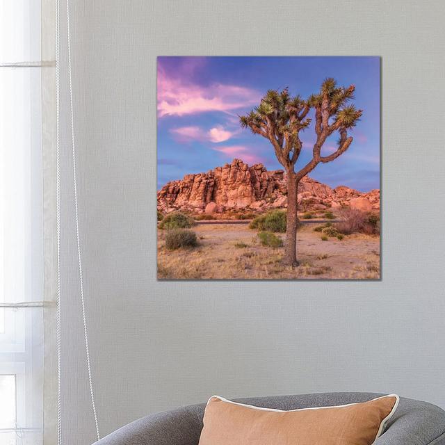 Joshua Tree Evening Scenery by Melanie Viola - Wrapped Canvas Print Natur Pur Size: 66.04cm H x 66.04cm W x 1.905cm D on Productcaster.