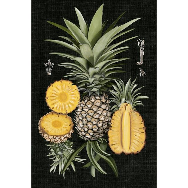 Pineapple Botanical Study I by Naomi McCavitt - Wrapped Canvas Print 17 Stories Size: 91cm H x 61cm W on Productcaster.