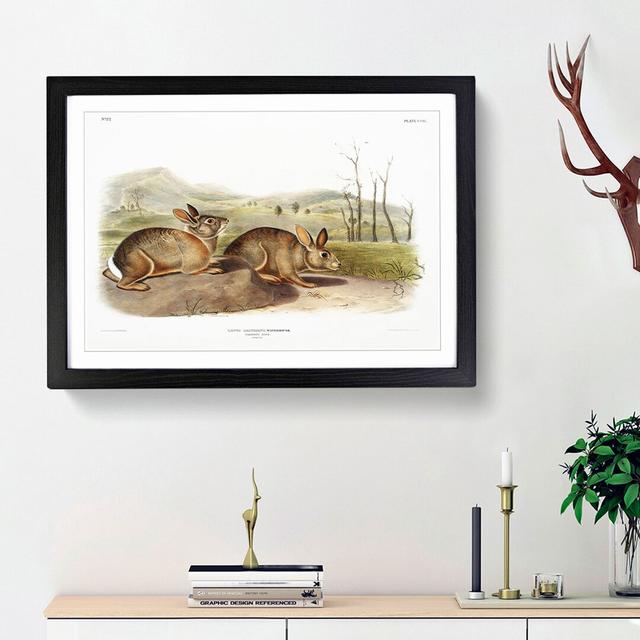 Bachmans Hares by J.W. Audubon - Picture Frame Painting Print East Urban Home Size: 48cm H x 65cm W x 2cm D, Frame Option: Black Framed on Productcaster.