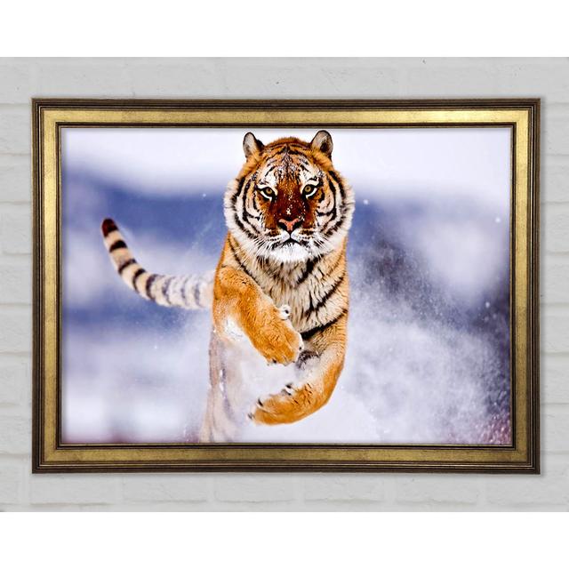 Running Snow Tiger - Single Picture Frame Art Prints Ebern Designs Size: 29.7cm H x 42cm W x 1.5cm D on Productcaster.