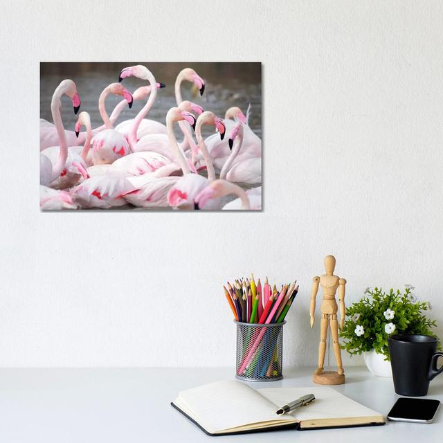 Flamingo II by Ben Heine - Wrapped Canvas Photograph Bay Isle Home Size: 20.32cm H x 30.48cm W x 1.91cm D on Productcaster.