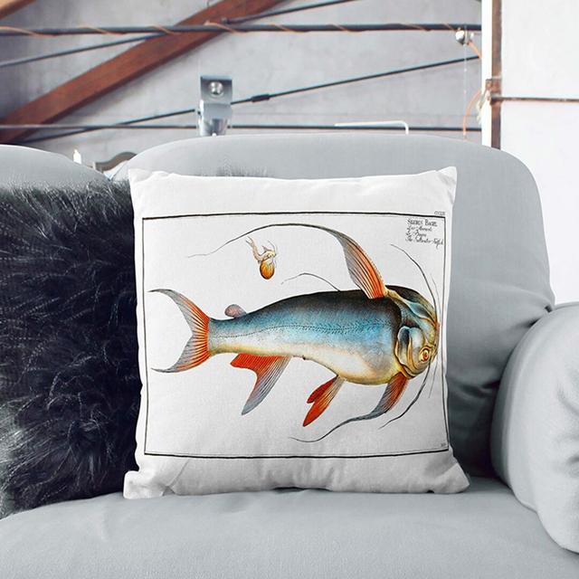 Saltwater Catfish by M.E. Bloch Cushion with Filling East Urban Home Size: 55cm H x 55cm W x 20cm D, Backing Colour: Black on Productcaster.