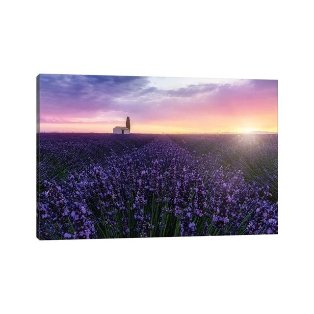 Bees at Sunrise by Fabio Antenore - Graphic Art on Canvas Fleur De Lis Living Format: Wrapped Canvas, Size: 30.48cm H x 45.72cm W x 1.91cm D on Productcaster.