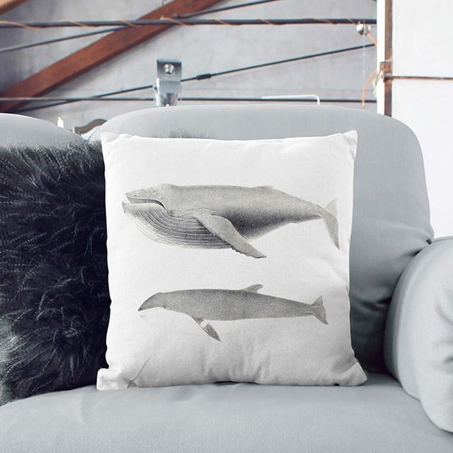 Humpback and Minke Whale by C.M. Scammon Cushion with Filling East Urban Home Size: 55cm H x 55cm W x 20cm D, Backing Colour: Stone on Productcaster.