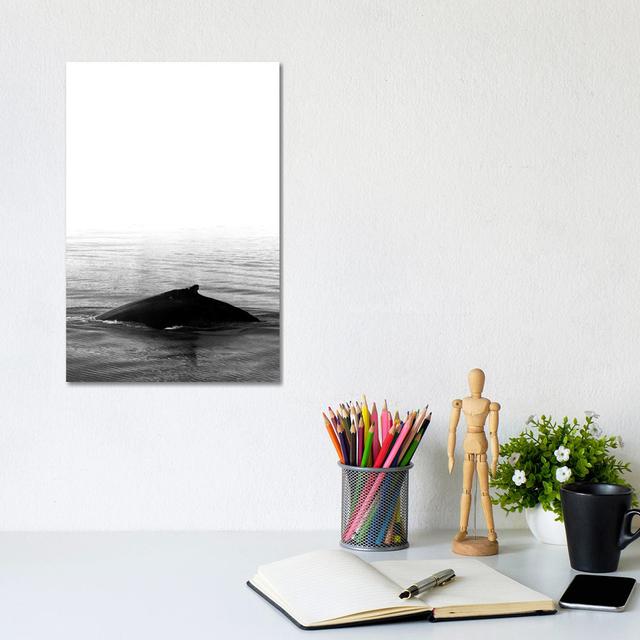 Whale Song III Black Iceland Breakwater Bay Size: 30.48cm H x 20.32cm W x 1.9cm D on Productcaster.