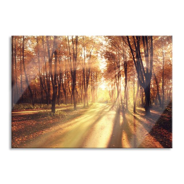 Glasbild Baumallee im Herbst Union Rustic Größe: 70 cm H x 100 cm B x 0,4 cm T on Productcaster.