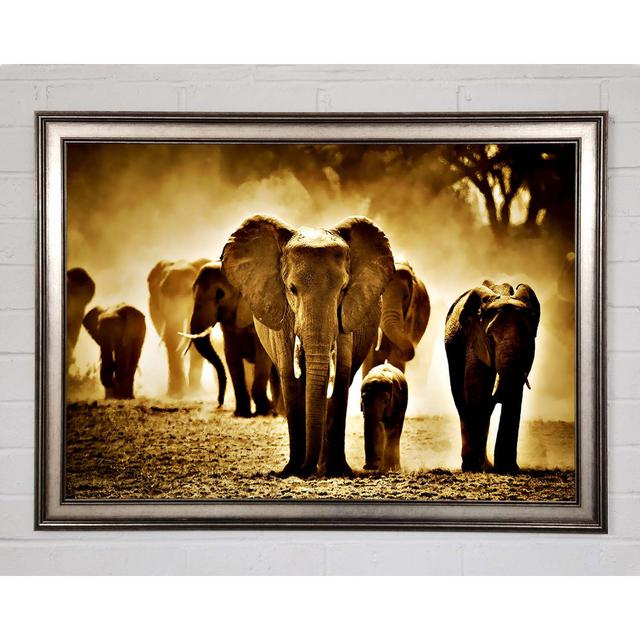 Elephant Stampede Framed Print Ebern Designs Size: 21cm H x 29.7cm W on Productcaster.