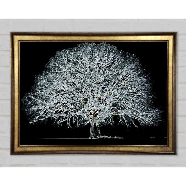 Abstract Neon Floral 34 - Single Picture Frame Art Prints Ophelia & Co. Size: 42cm H x 59.7cm W x 1.5cm D on Productcaster.