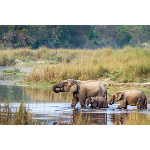 Asian Elephant In Bardia National Park, Nepal by Utopia_88 - Wrapped Canvas Print Ebern Designs Size: 20cm H x 30cm W x 3.8cm D on Productcaster.