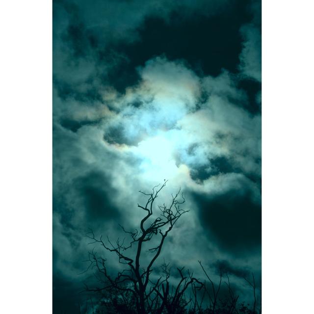 Dark, Cloudy, Stormy Sky by Canoneer - Print Latitude Run Size: 122cm H x 81cm W x 3.8cm D on Productcaster.