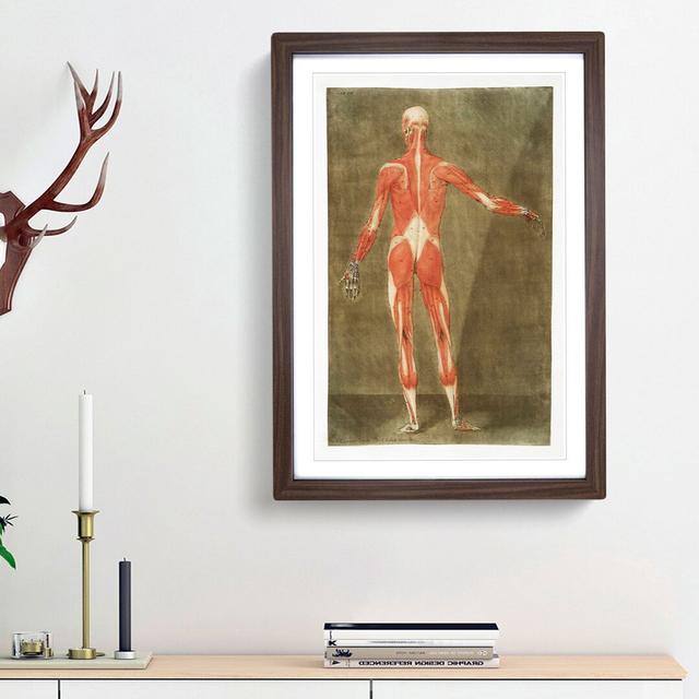 Anatomical Illustration of a Male No. 5 by Gautier-Dagoty - Picture Frame Painting Print East Urban Home Size: 48cm H x 36cm W x 2cm D, Frame Option: on Productcaster.