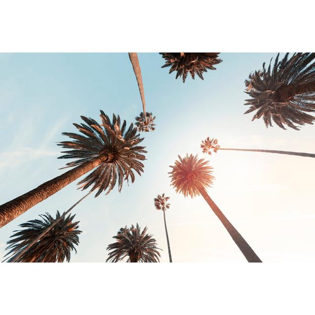 Palm Trees In Beverly Hills, California by Stellalevi - No Frame Art Prints on Canvas 17 Stories Size: 51cm H x 76cm W on Productcaster.