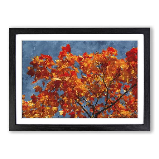 Maple Tree Vol.3 - Picture Frame Graphic Art East Urban Home Frame Option: Black Framed, Size: 36cm H x 48cm W x 2cm D on Productcaster.