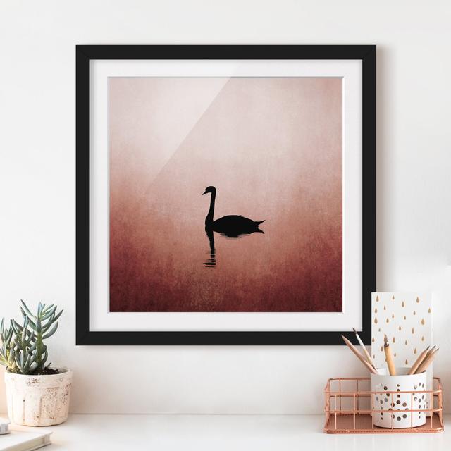 Swan in Sunset - Picture Frame Graphic Art August Grove Size: 20cm H x 20cm W x 2cm D, Frame Option: Black Framed on Productcaster.