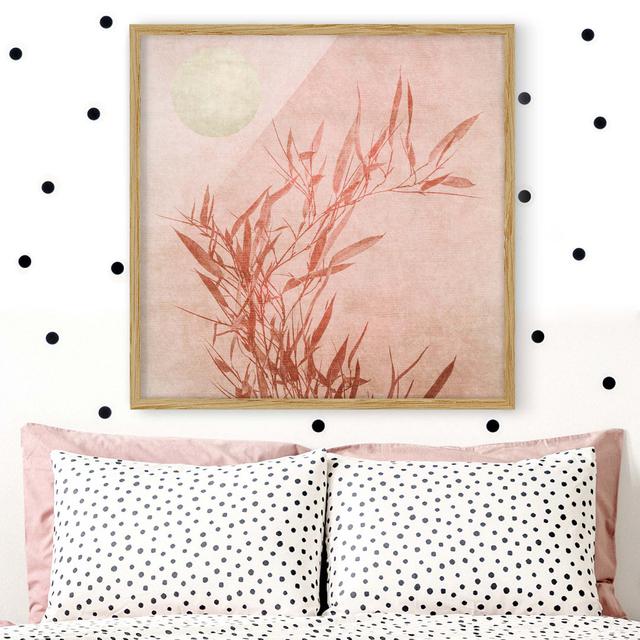 Golden Sun with Pink Bamboo - Picture Frame Graphic Art 17 Stories Size: 30cm H x 30cm W x 2cm D, Frame Option: Brown Framed on Productcaster.