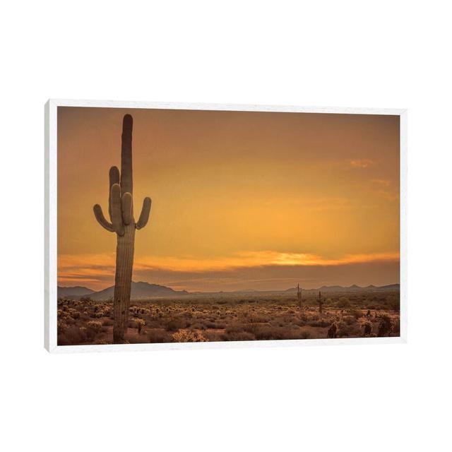 'Cactus Sunrise' by Don Schwartz - Floater Frame Photograph Print on Canvas Bloomsbury Market Frame Option: White Framed, Size: 45.72cm H x 66.04cm W on Productcaster.