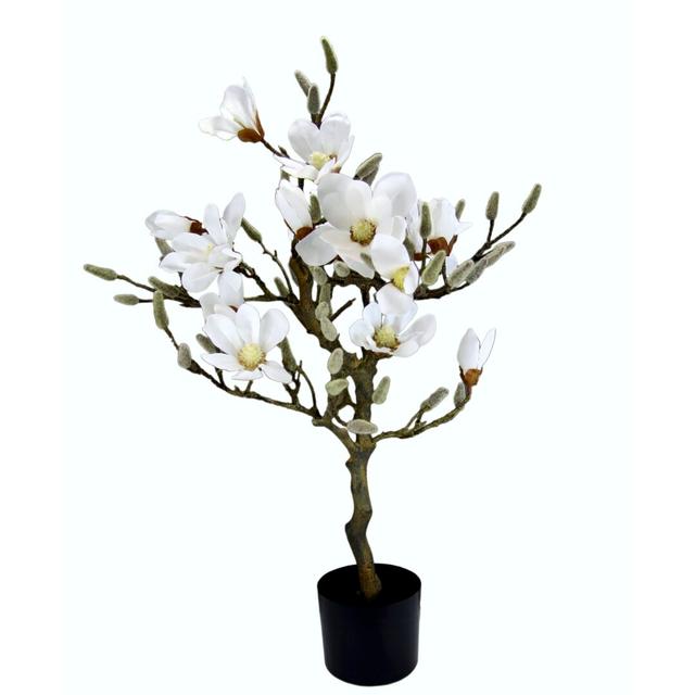 Kunstbaum Magnolie in Topf Die Saisontruhe Blumenfarbe: Weiß, Maße: 78 cm H x 48 cm B x 38 cm T on Productcaster.