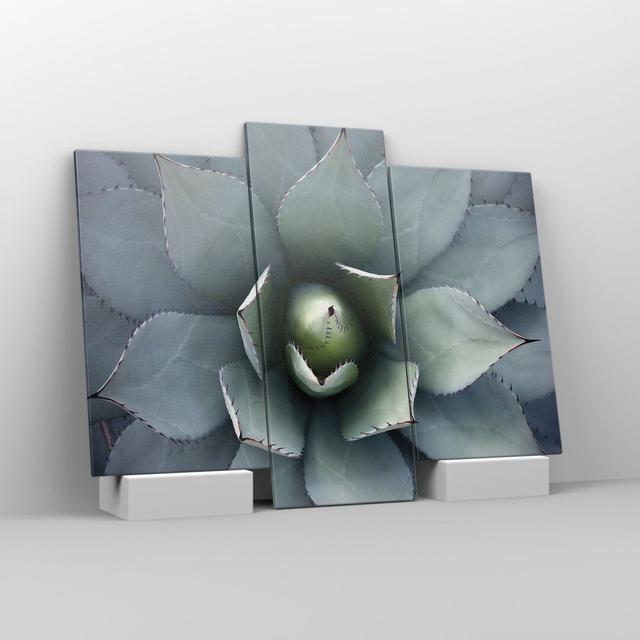 Blue Leaves Agave - 3 Piece Wrapped Canvas Photograph Bloomsbury Market Size: 80cm H x 95cm W on Productcaster.