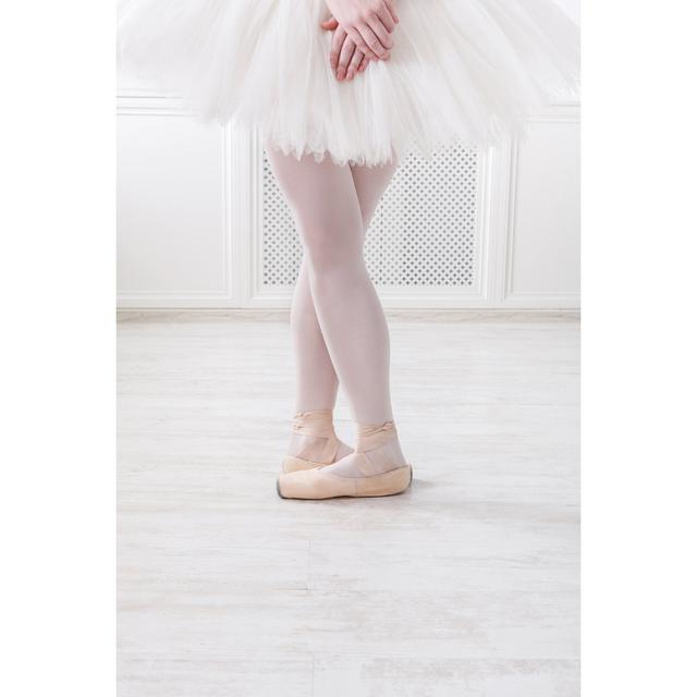 Ballerina - Wrapped Canvas Photograph Fairmont Park Size: 30cm H x 20cm W x 3.8cm D on Productcaster.