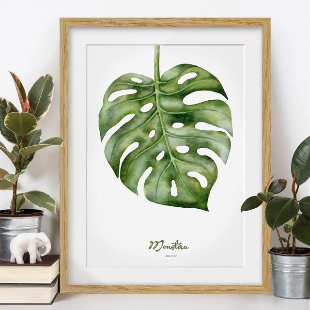 Botany Monstera Framed Watercolour Painting Print East Urban Home Frame Options: Natural oak, Size: 70cm H x 50cm W on Productcaster.