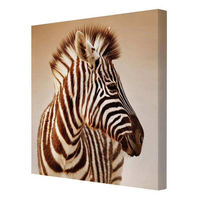 Baby Zebra Portrait - Wrapped Canvas Photograph Print East Urban Home Size: 80 L x 80 W on Productcaster.